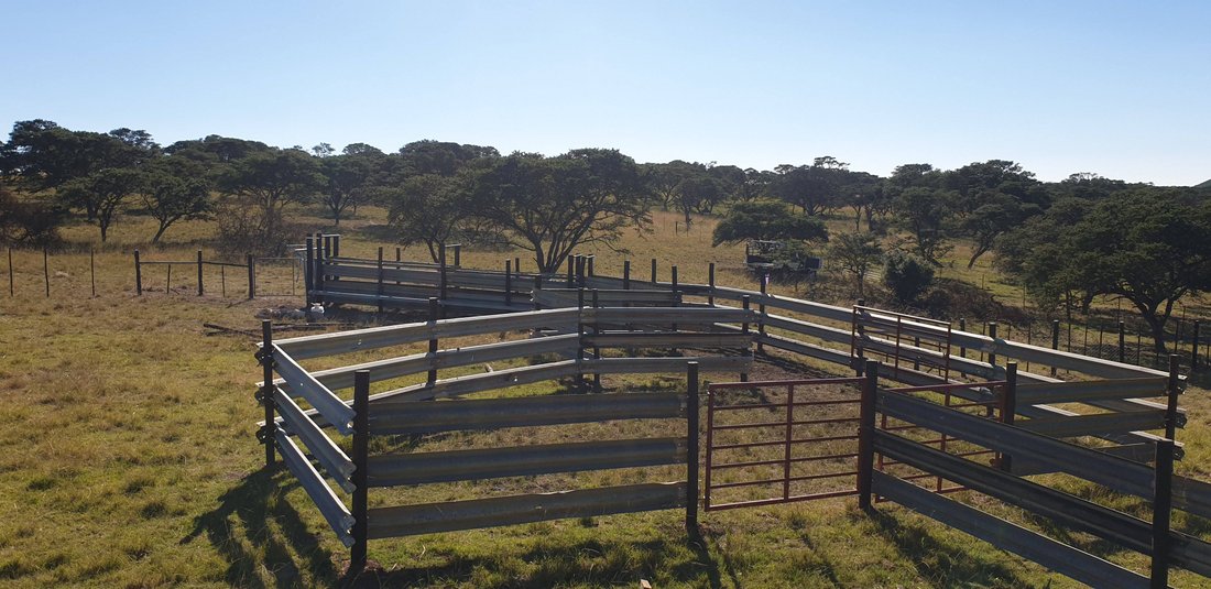 Farm Ranch in Amahlathi Local Municipality, Eastern Cape, South Africa 3 - 18675267