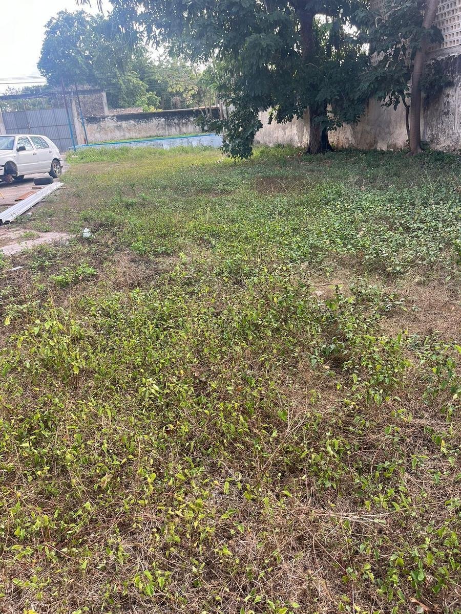 Land in Mérida, Yucatan, Mexico 1 - 18675549