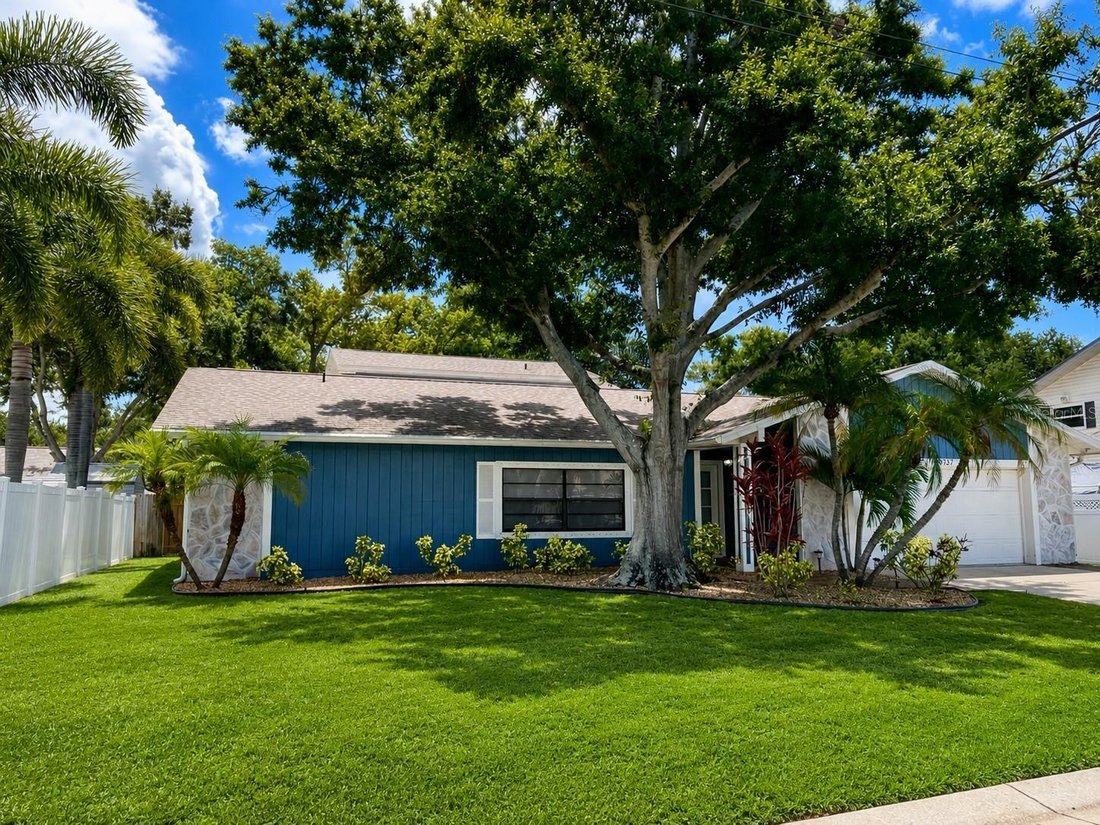 House in Seminole, Florida, United States 5 - 18675883