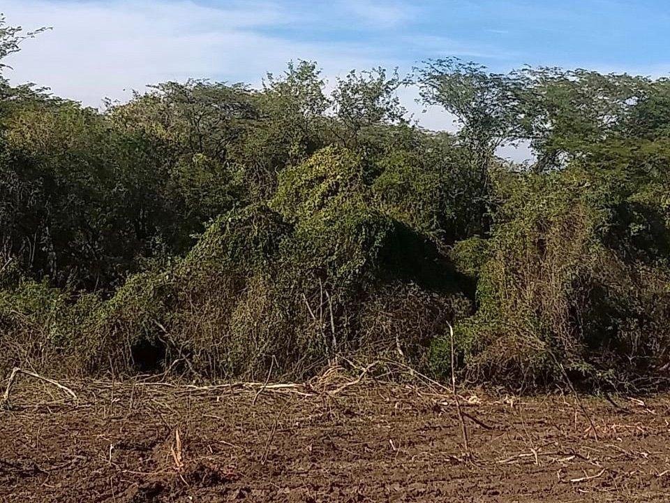Land in Cuauchichinola, Morelos, Mexico 4 - 18675190