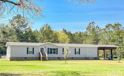 Guyton, Georgia, United States 1
