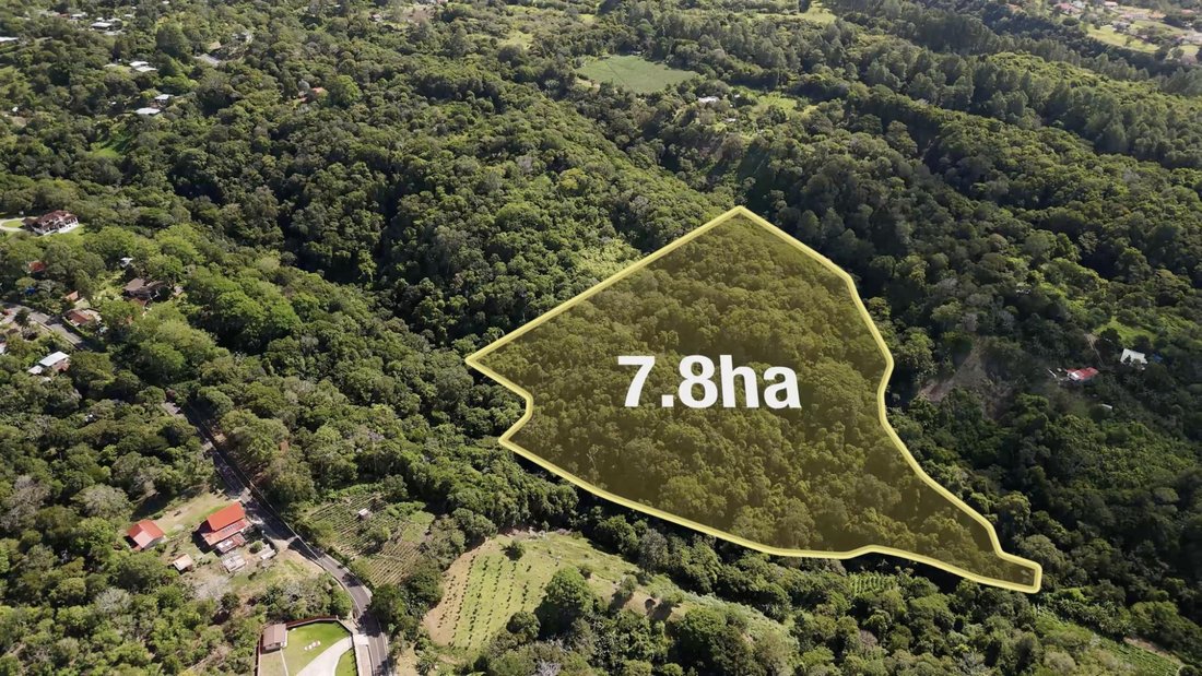 Finca in Palmira, Chiriquí Province, Panama 1 - 18678844