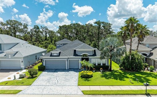 Haus in Parrish, Florida, Vereinigte Staaten 1