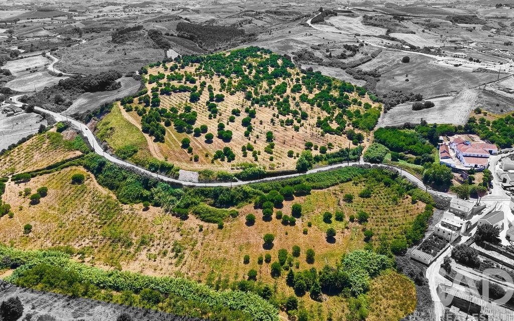 Farm Ranch in Enxara do Bispo, Gradil e Vila Franca do Rosario, Lisbon, Portugal 4 - 18679397