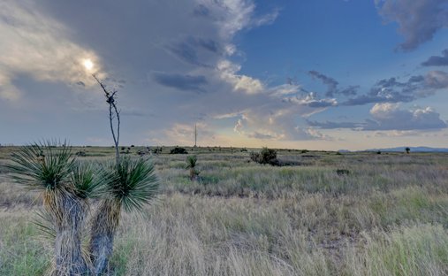 Farm Ranch in Marfa, Texas, United States 1