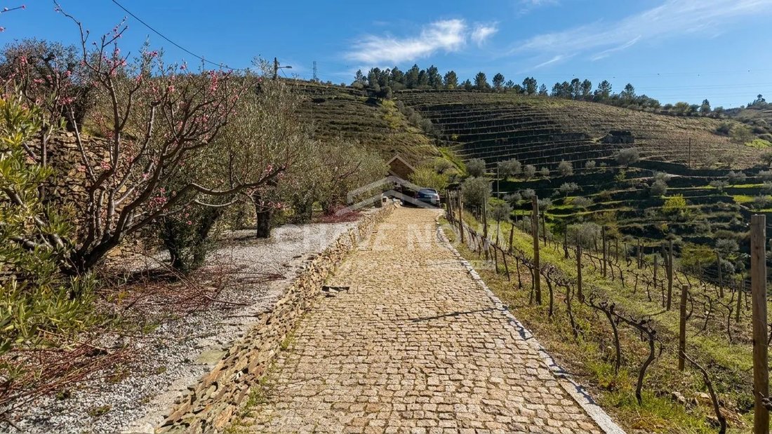 Villa in Adorigo, Viseu District, Portugal 1 - 18679049