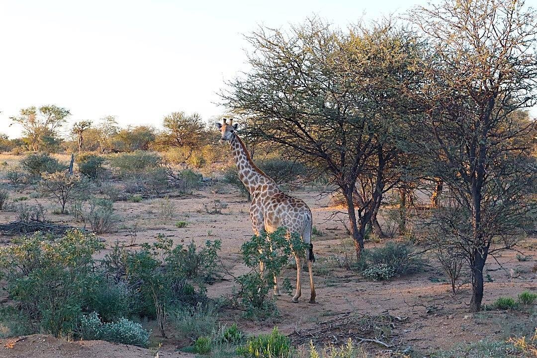 Omaruru, Erongo Region, Namibia 5 - 18678875