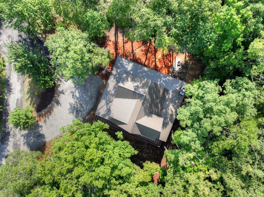 House in Mineral Bluff, Georgia, United States 5 - 18679335