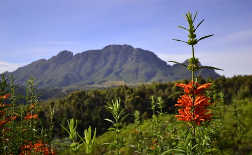 Land in Arbeidslus, Western Cape, South Africa 1