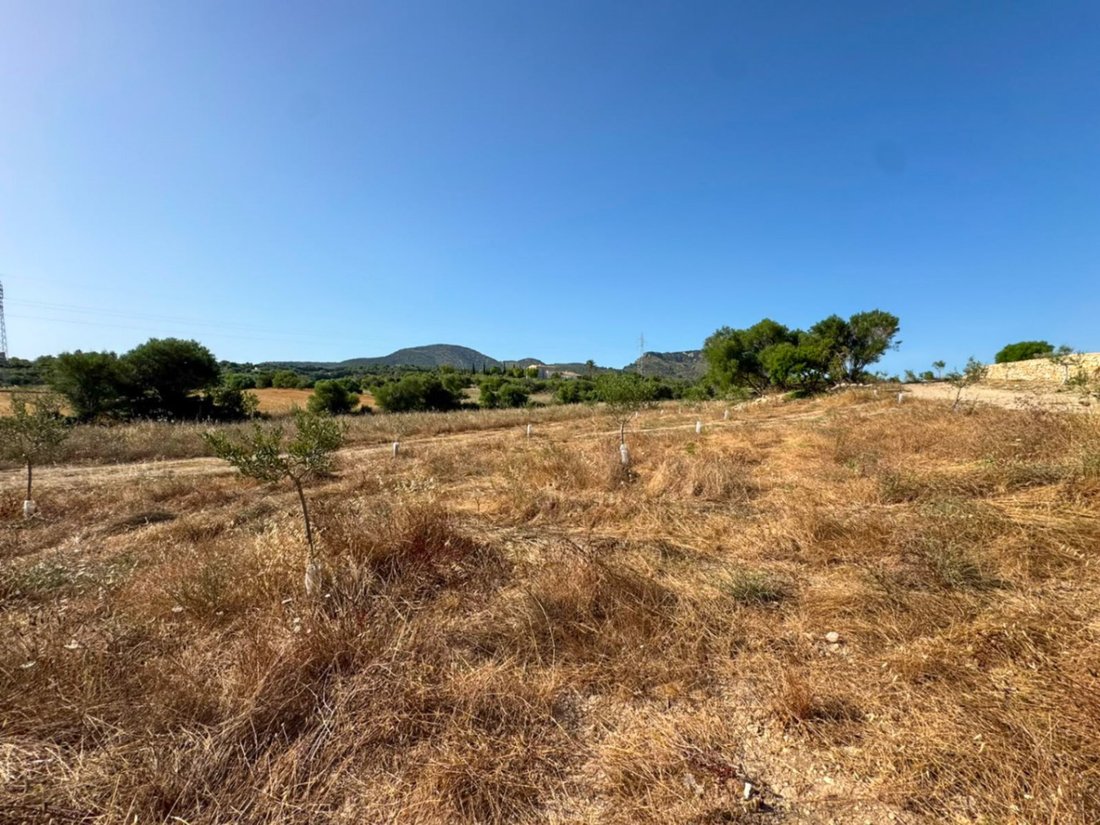Finca in Sant Llorenc des Cardassar, Balearic Islands, Spain 4 - 18679389
