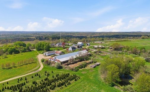 Farm Ranch in Charlton, Massachusetts, United States 1