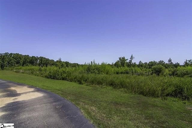 Azienda agricola a Woodruff, Carolina del Sud, Stati Uniti 5 - 16804048