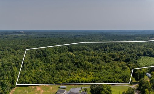 Azienda agricola a Woodruff, Carolina del Sud, Stati Uniti 1