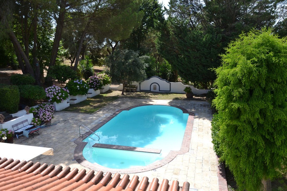 Farm Ranch in Santo Estevao, Santarem District, Portugal 3 - 18679522