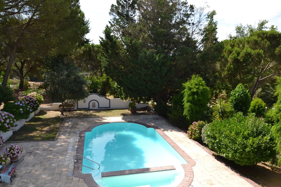 Farm Ranch in Santo Estevao, Santarem District, Portugal 4 - 18679522