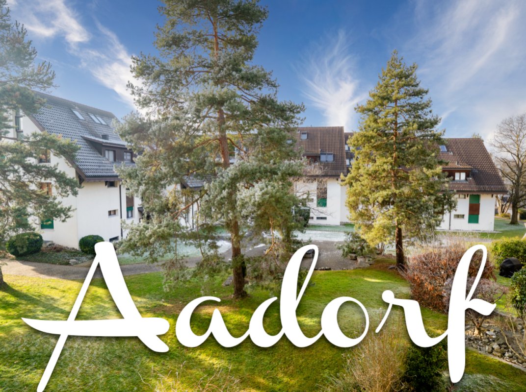 Apartment in Aadorf, Thurgau, Switzerland 1 - 18679413