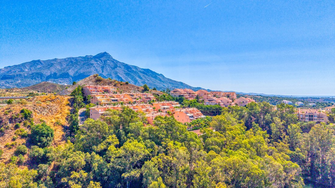 Apartment in Puerto Banus, Marbella, Spain 3 - 18679678