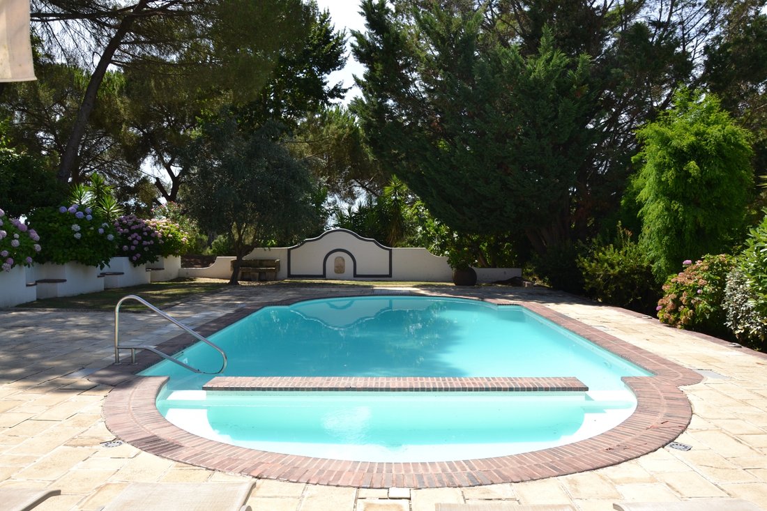 Farm Ranch in Santo Estevao, Santarem District, Portugal 5 - 18679522