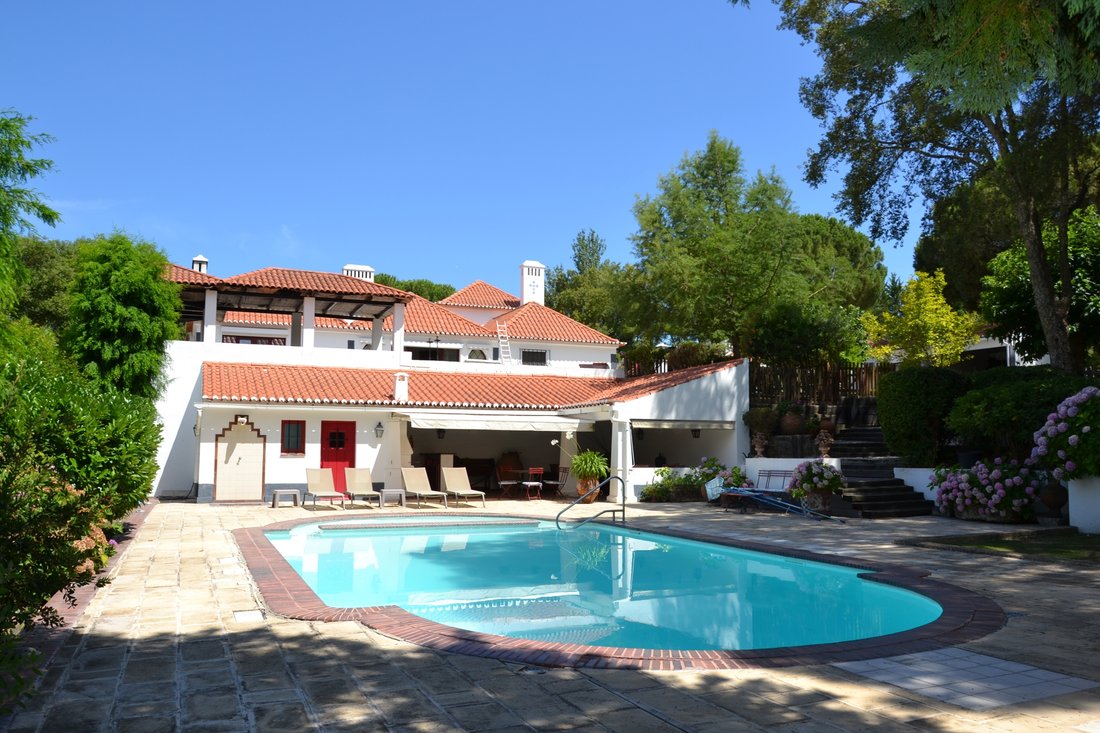 Farm Ranch in Santo Estevao, Santarem District, Portugal 1 - 18679522