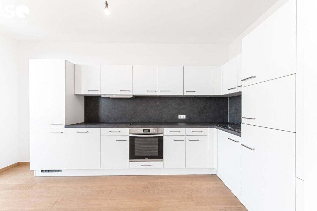 Apartment in Vienna, Wien, Austria 3 - 18679526