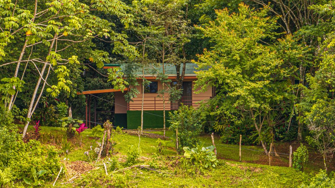 Land in San Isidro de El General, Pérez Zeledón, Costa Rica 5 - 18679915