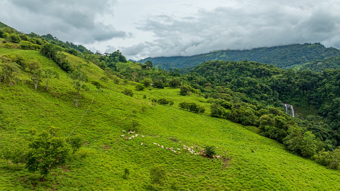 Land in San Isidro de El General, Pérez Zeledón, Costa Rica 4 - 18679915