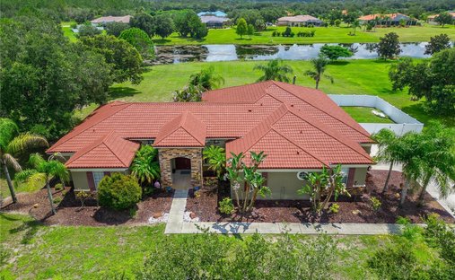 Casa en Wimauma, Florida, Estados Unidos 1
