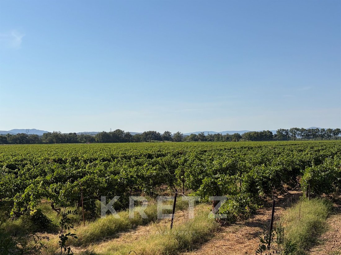 Farm Ranch in Port Marianne, Montpellier, France 1 - 18684038
