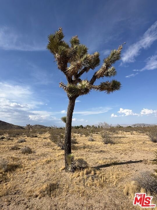 Terrain à Yucca Valley, Californie, États-Unis 2 - 18682639