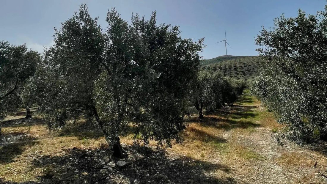 Land in Aydın, Aydın, Turkey 4 - 18680689