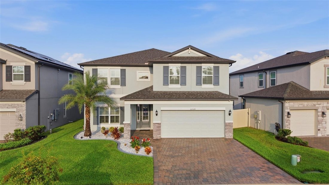 House in Land O' Lakes, Florida, United States 1 - 18682573