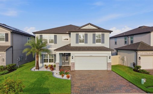 Casa en Land O' Lakes, Florida, Estados Unidos 1