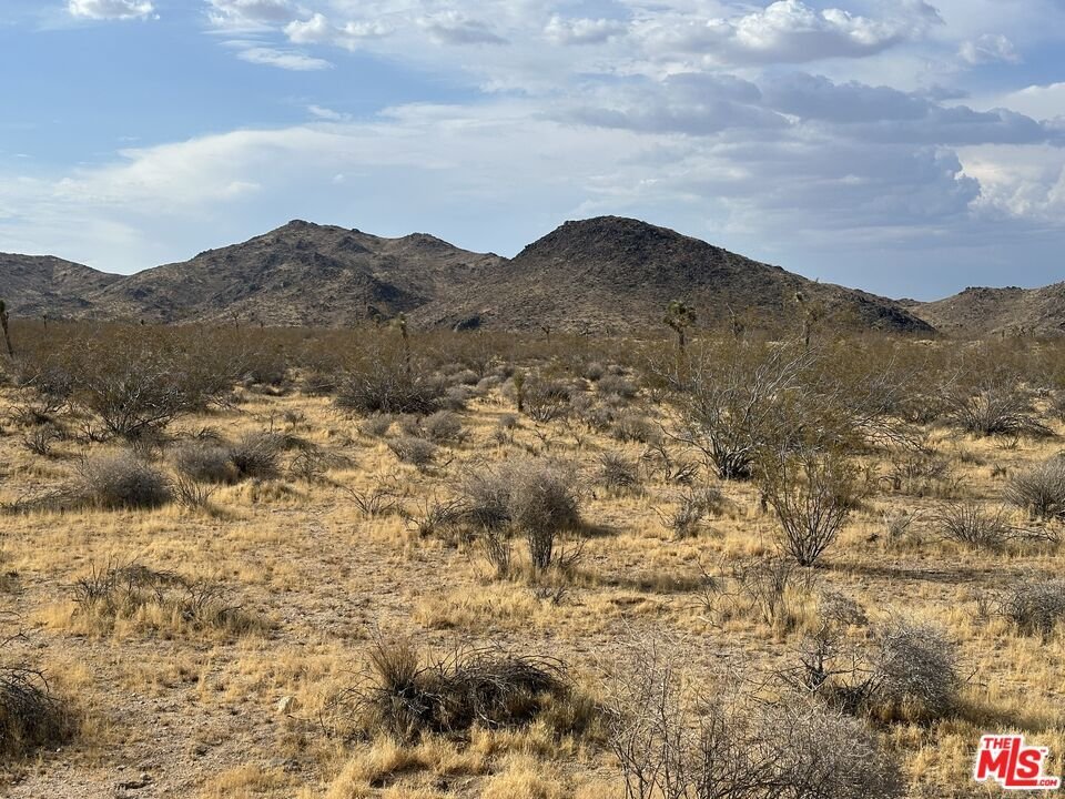 Terrain à Yucca Valley, Californie, États-Unis 3 - 18682639