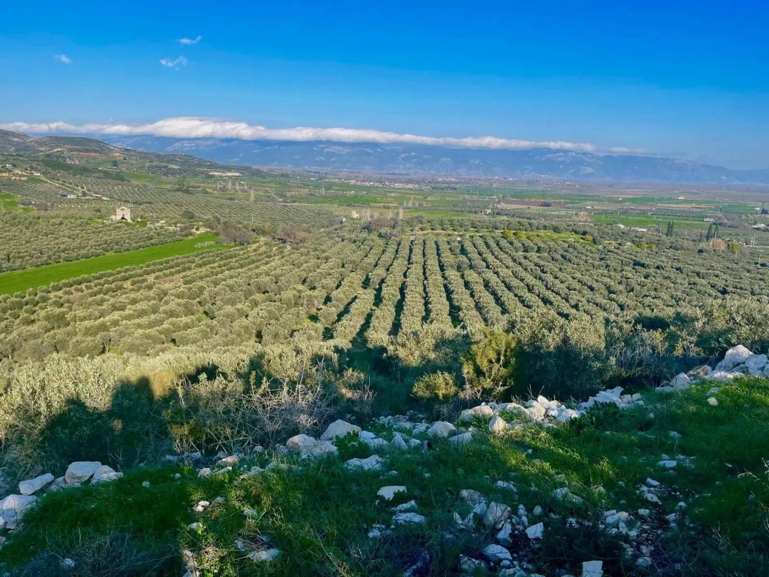 Land in Aydın, Aydın, Turkey 1 - 18680689