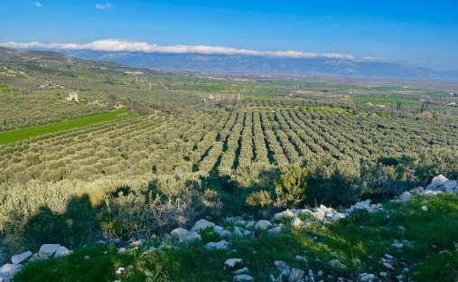 Land in Aydın, Aydın, Türkei 1