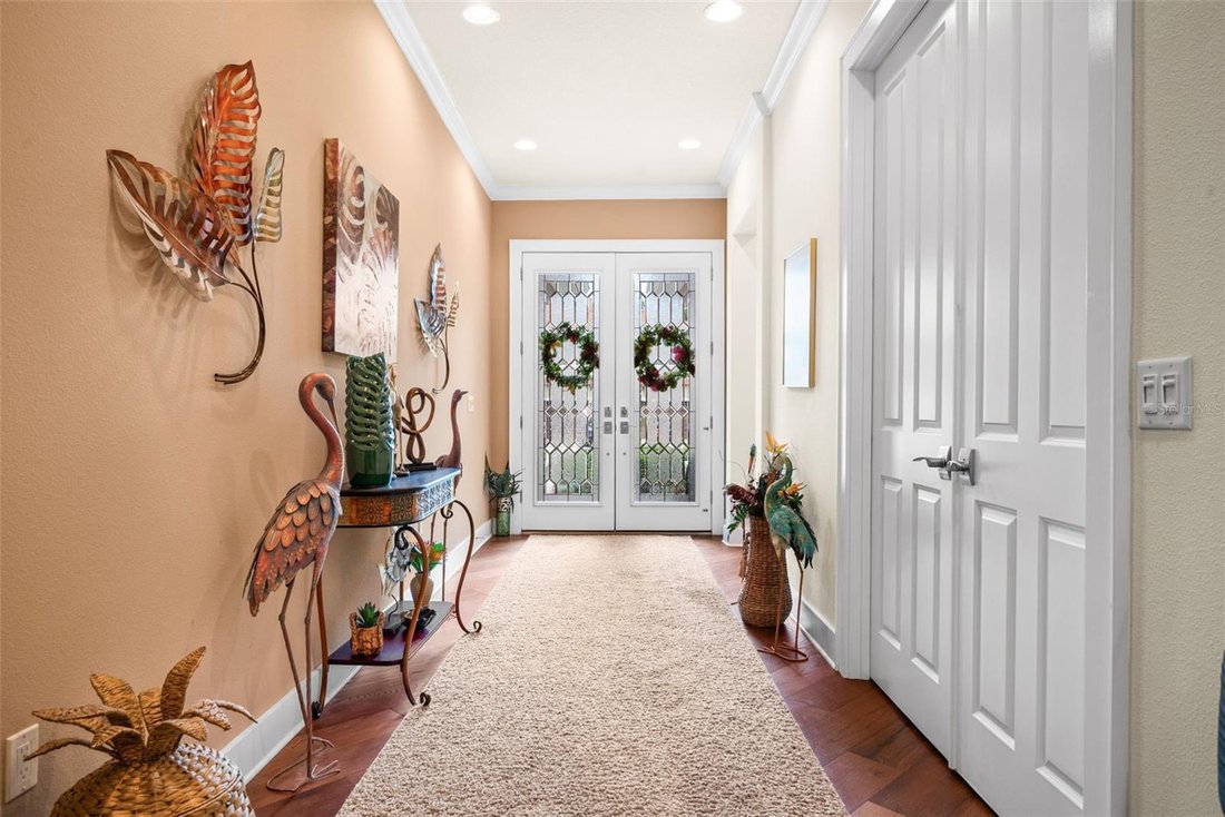 House in Palm Harbor, Florida, United States 5 - 18682554