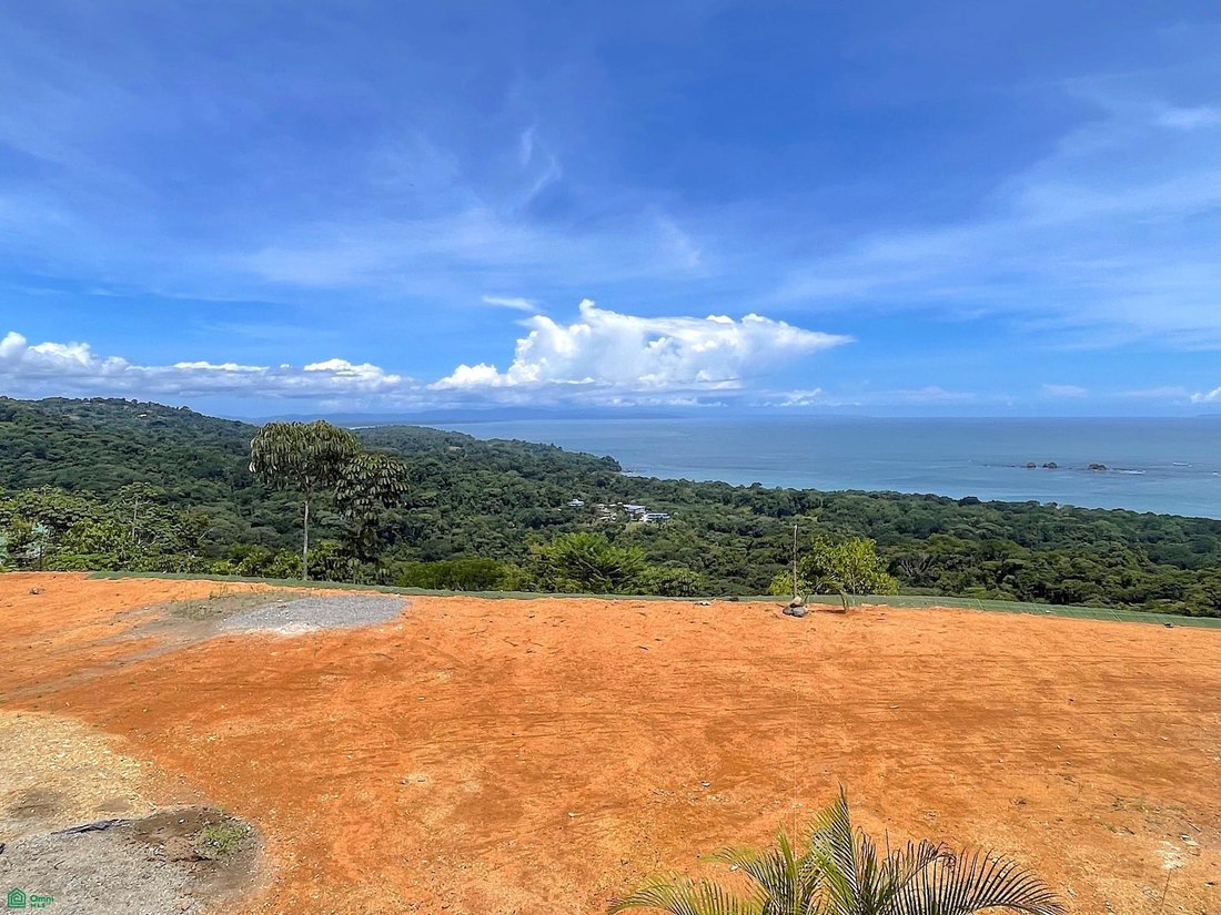 Land in Quebrada, Puntarenas Province, Costa Rica 4 - 18682442