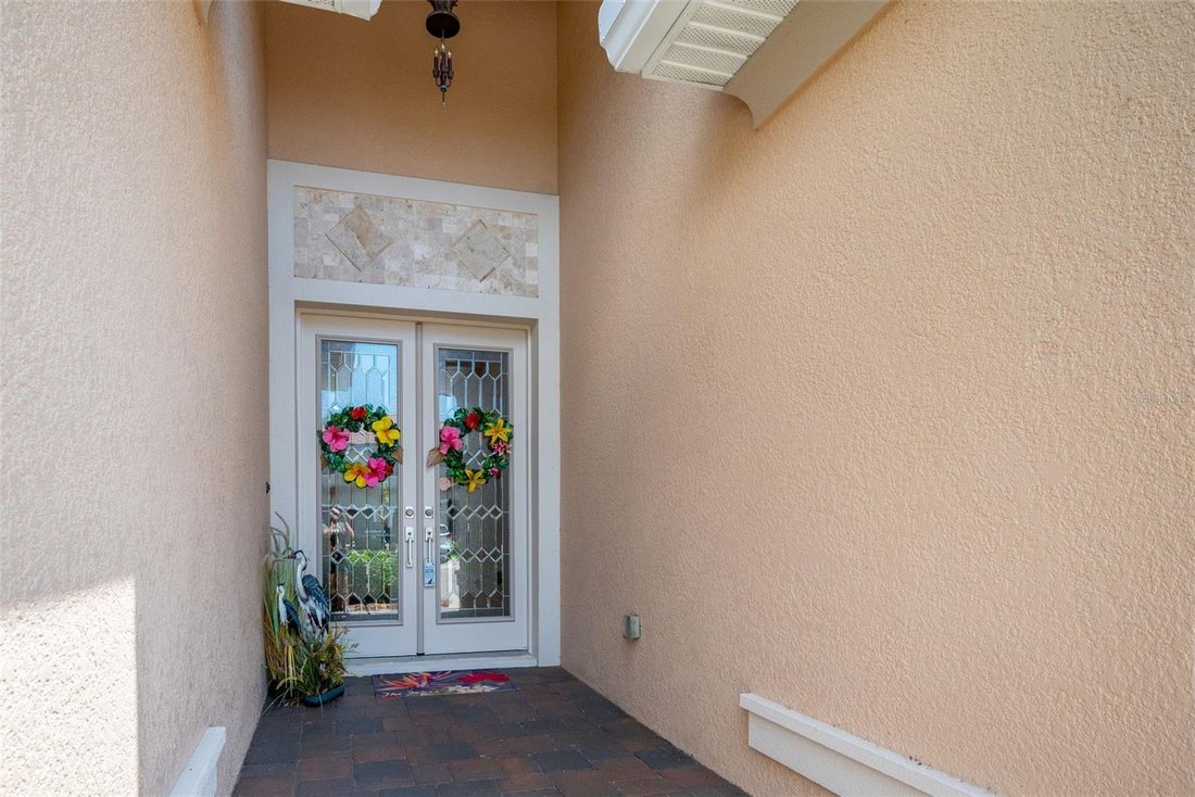 House in Palm Harbor, Florida, United States 4 - 18682554