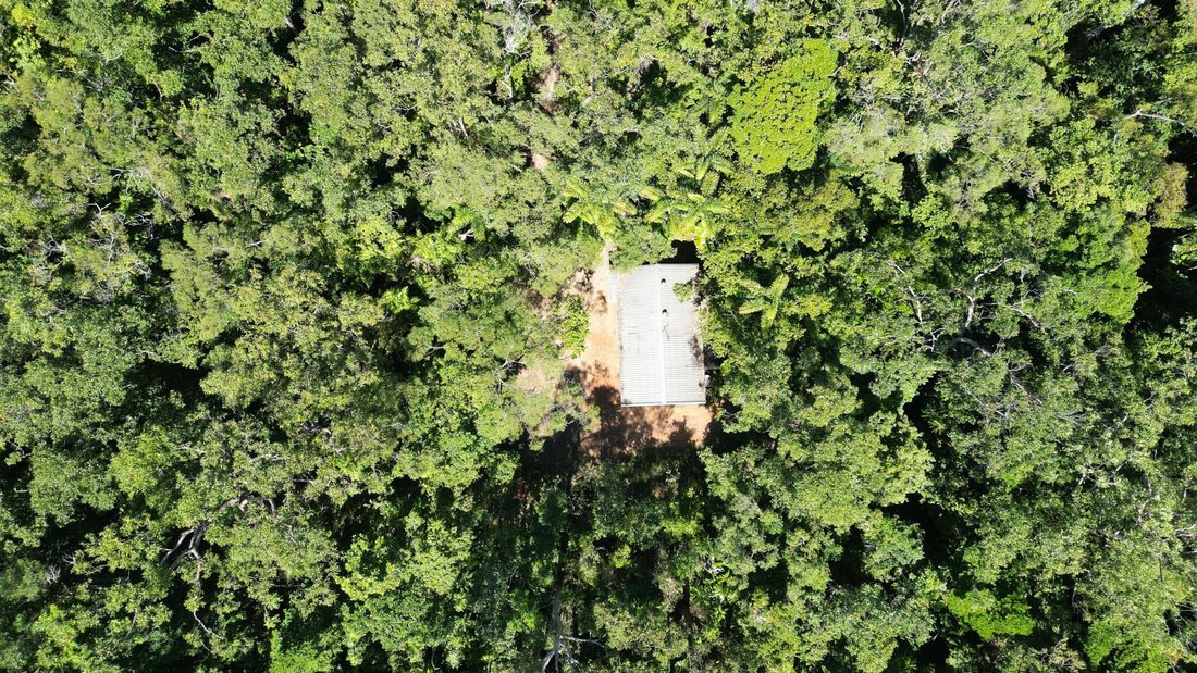 House in Cow Bay, Queensland, Australia 4 - 18681274