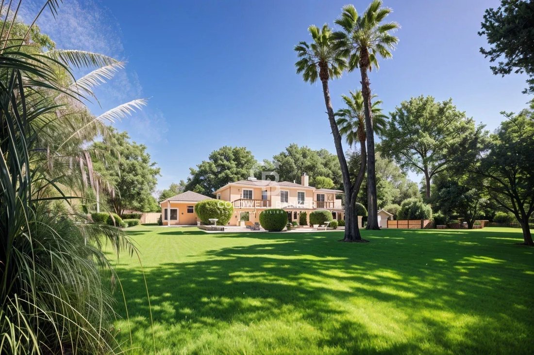 Villa in Mougins, Provence-Alpes-Côte d'Azur, France 3 - 18681311