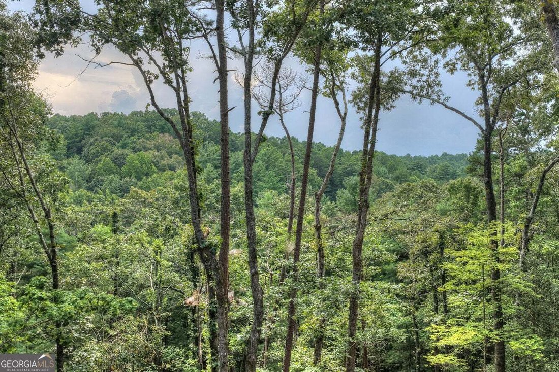 House in Ellijay, Georgia, United States 3 - 18682884