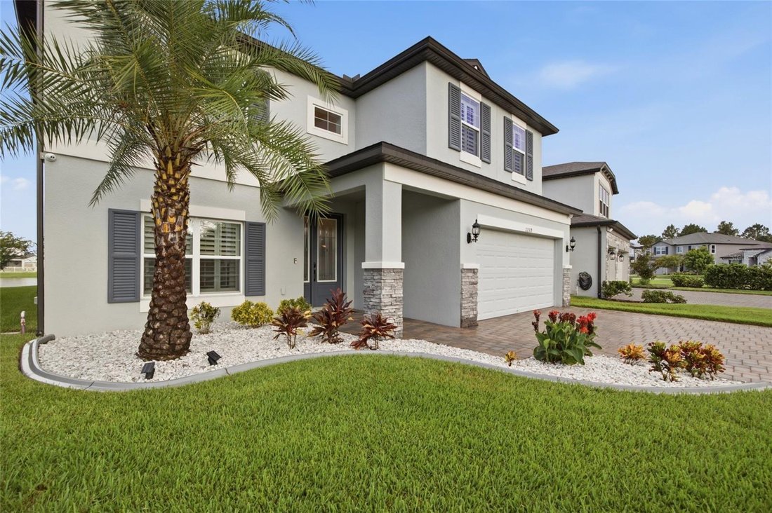 House in Land O' Lakes, Florida, United States 4 - 18682573