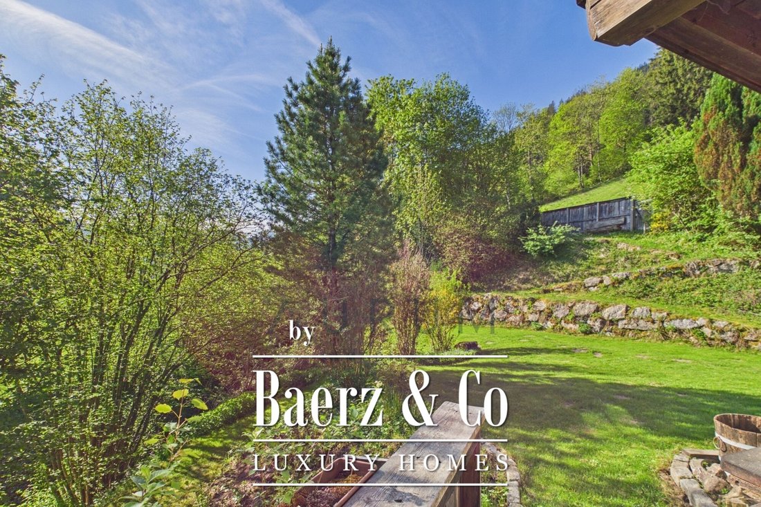 Land in Kitzbuhel, Tyrol, Austria 4 - 18683962