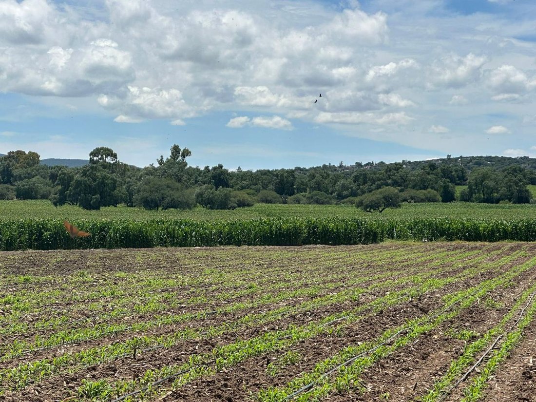 Land in Rancho Milpillas, Querétaro, Mexico 5 - 18680622