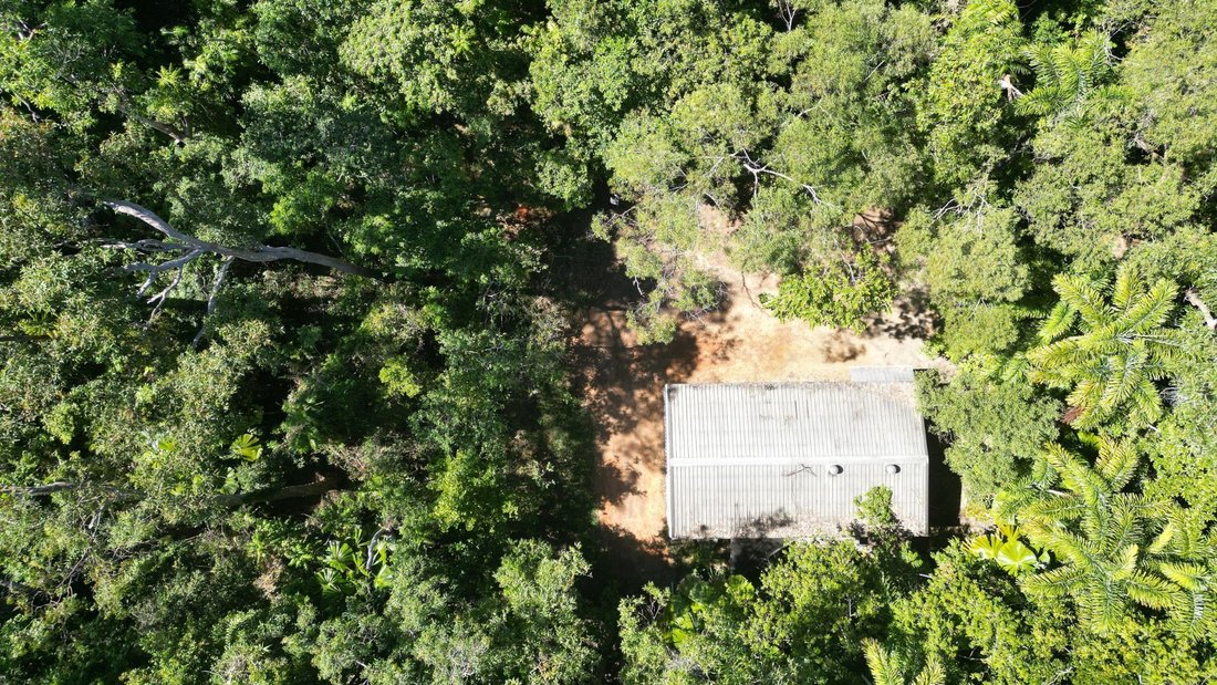 House in Cow Bay, Queensland, Australia 1 - 18681274