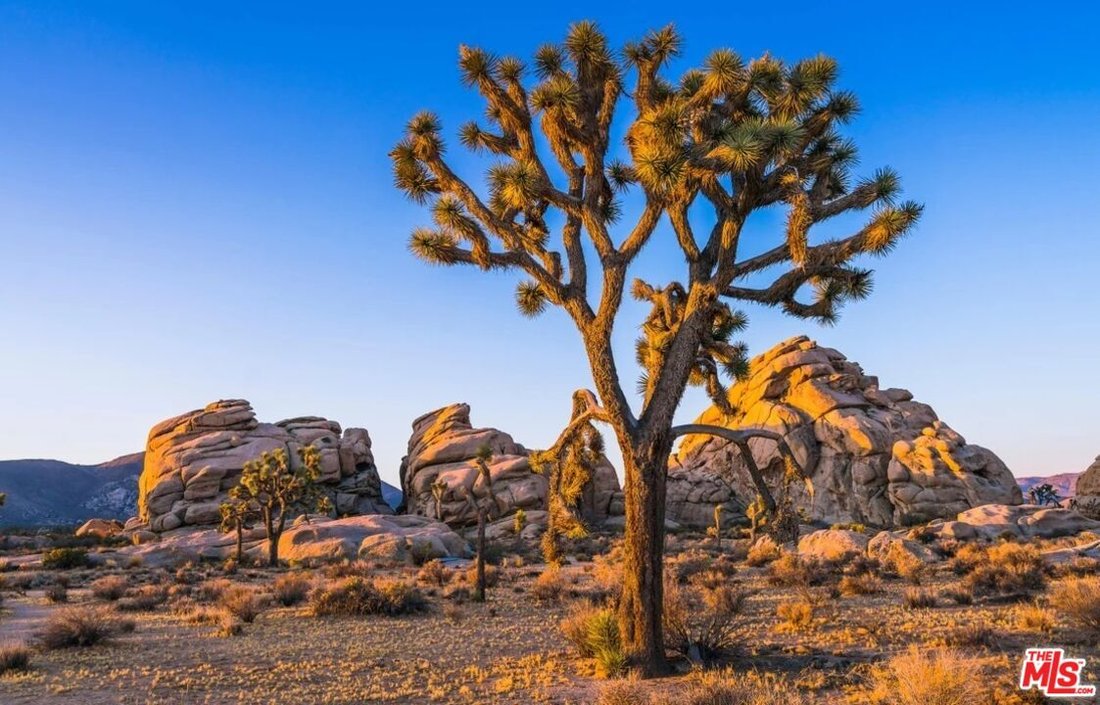 Terrain à Yucca Valley, Californie, États-Unis 1 - 18682639