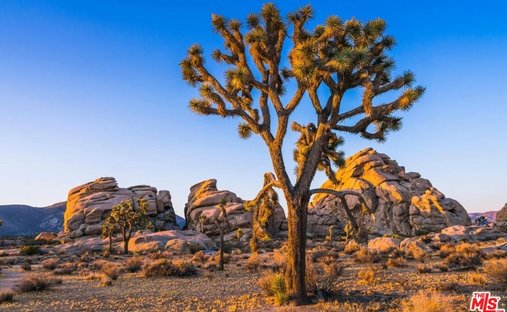 Terrain à Yucca Valley, Californie, États-Unis 1