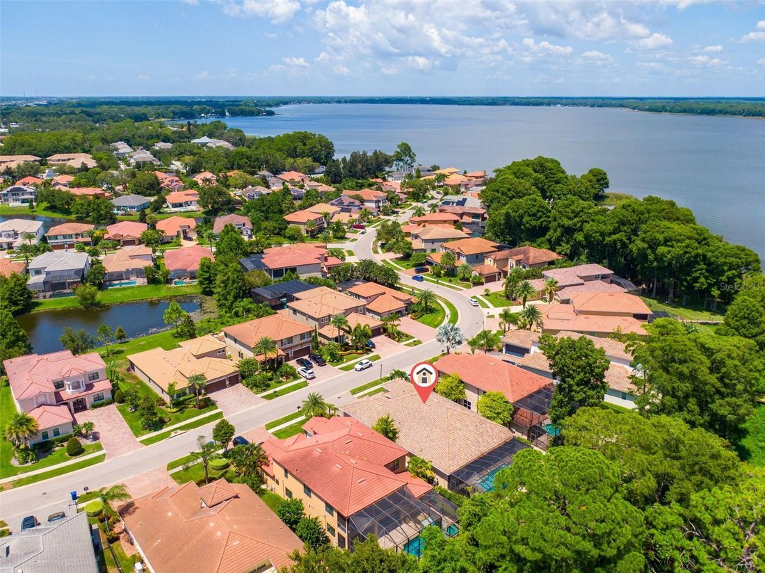 House in Palm Harbor, Florida, United States 3 - 18682554