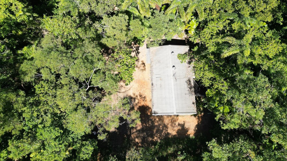 House in Cow Bay, Queensland, Australia 3 - 18681274