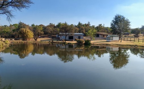 Azienda agricola a Modimolle, Provincia del Limpopo, Sudafrica 1